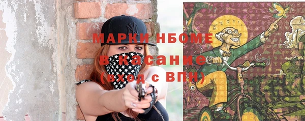 прущие грибы Алексин