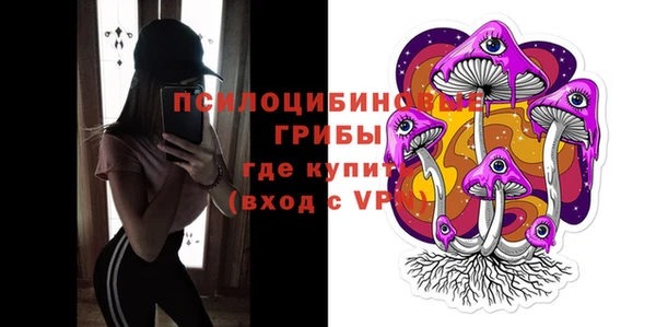 ешки Алзамай
