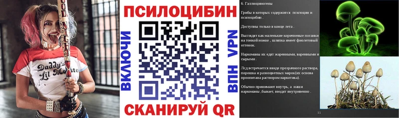 купить закладку  Кыштым  Псилоцибиновые грибы мухоморы 