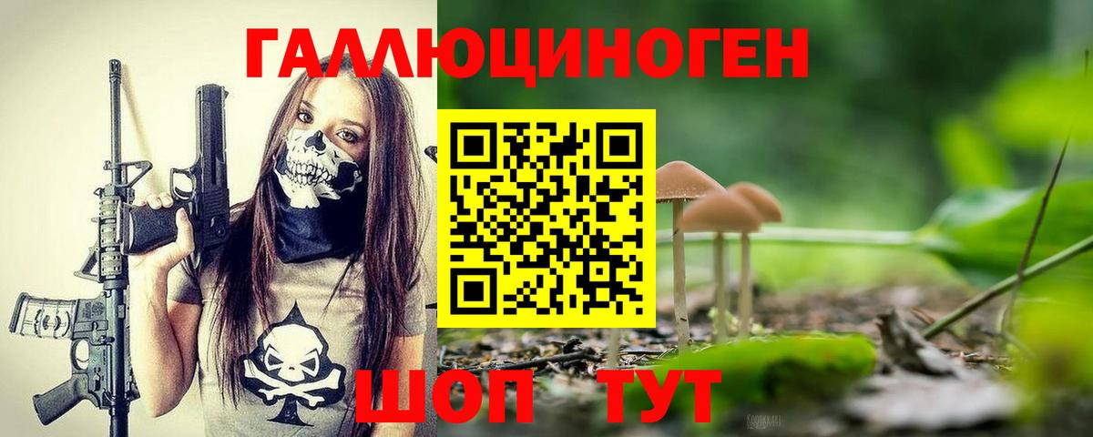Псилоцибиновые грибы Psilocybine cubensis Кыштым